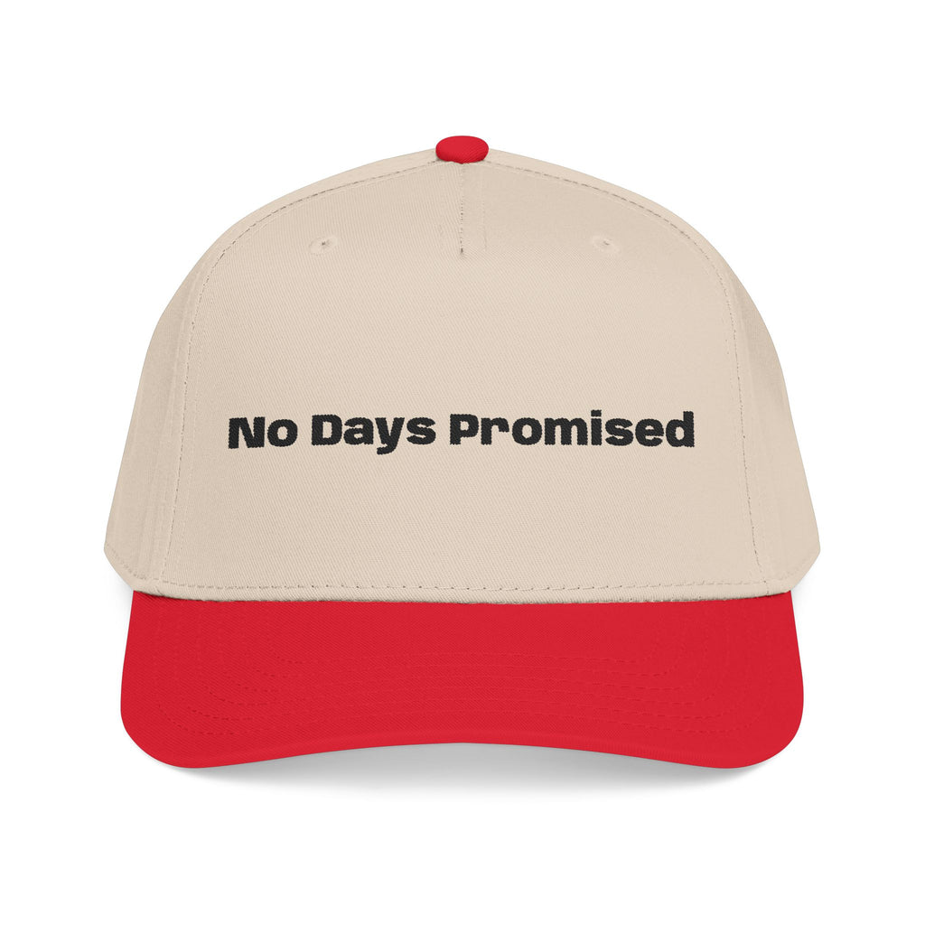 No Days Promised embroidery baseball Hat