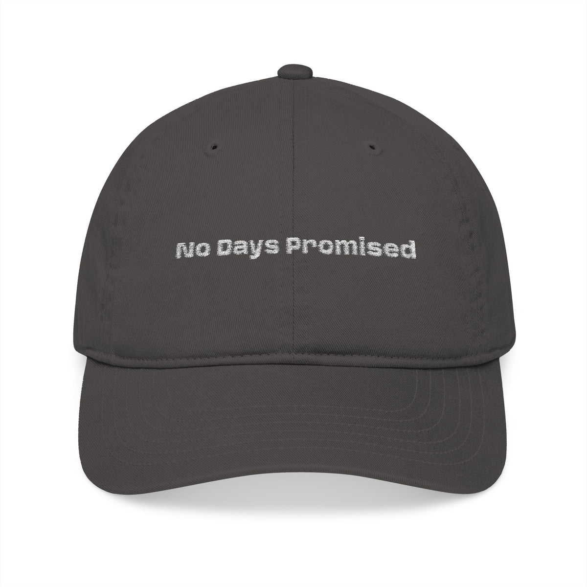Embroidered 'No Days Promised' Organic Baseball Cap